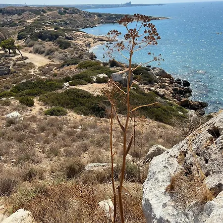 Appartamento Caesar *